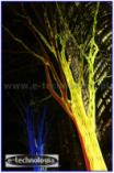 oświetlenie dekoracyjne drzew