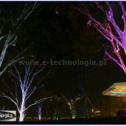 Oświetlenie ogrodowe drzewa w ogrodzie e-technologia