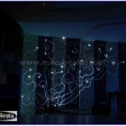 oświetlenie ściany na wesele e-technolgia