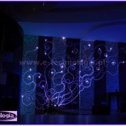 oświetlenie ściany na wesele zdjęcia e-technologia