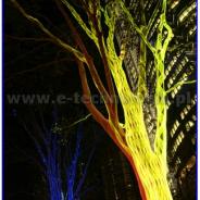 Oświetlenie ogrodowe - podświetlenie drzewa
